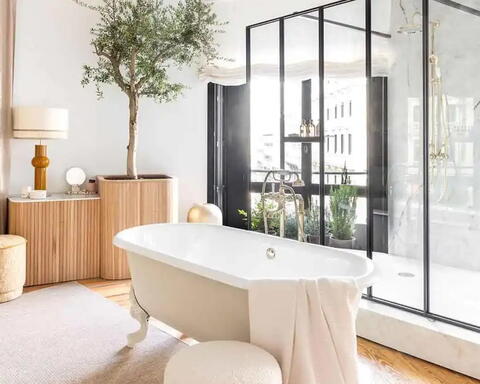 Jacob Delafon Cleo 1889