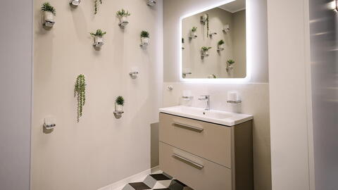 Badezimmer-Wand mit verschiedenen Pflanzen in Glasgefäßen.