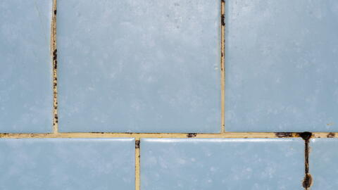 Verschimmelte Fugen mit blauen Fliesen